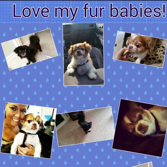 Meet your Posher, Melissa - Picture 5 of 6